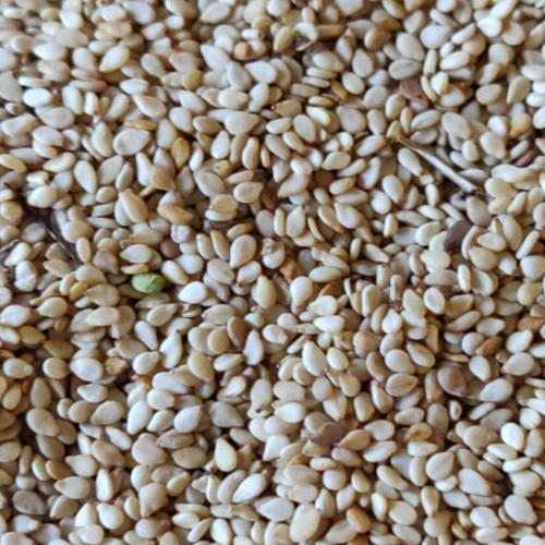 Humera Sesame Seeds